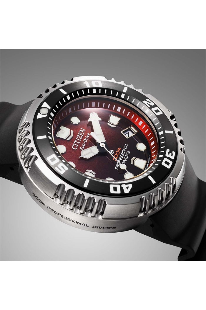 Citizen Promaster Professional Dalgıç Saati Bn1024-01Z
