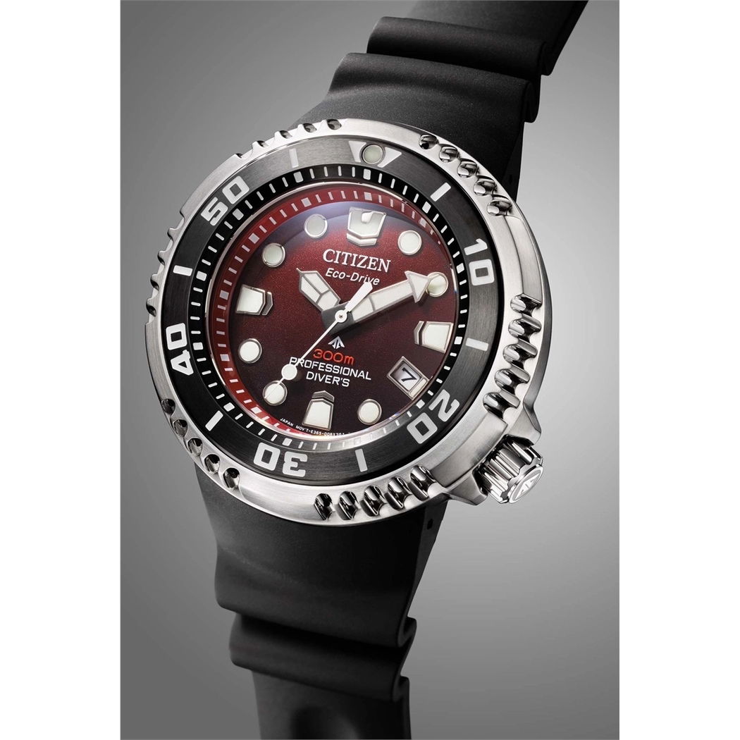 Citizen Promaster Professional Dalgıç Saati Bn1024-01Z