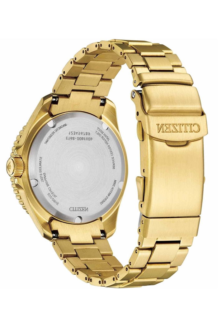 Citizen Bn0262-59W Promaster Eco-Drive Dalgıç Saati