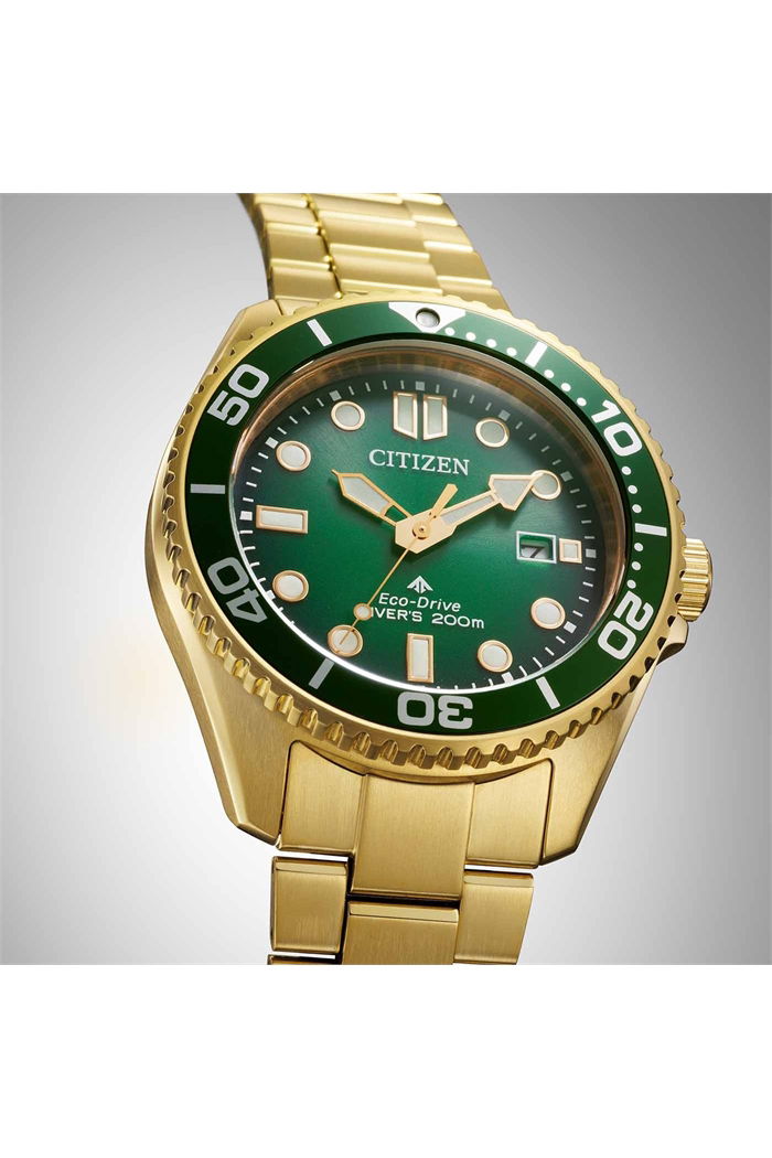 Citizen Bn0262-59W Promaster Eco-Drive Dalgıç Saati