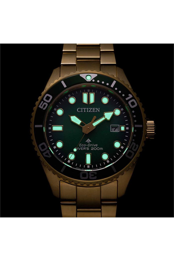Citizen Bn0262-59W Promaster Eco-Drive Dalgıç Saati