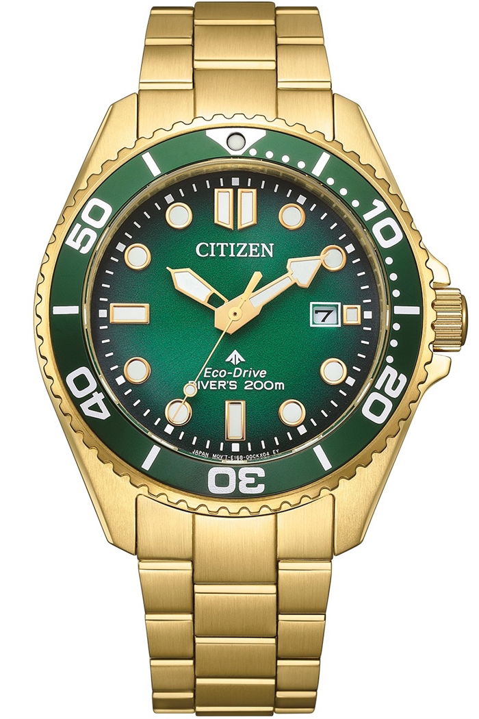 Citizen Bn0262-59W Promaster Eco-Drive Dalgıç Saati