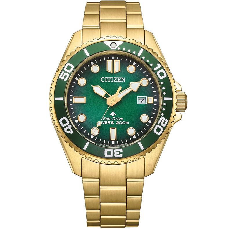 Citizen Bn0262-59W Promaster Eco-Drive Dalgıç Saati