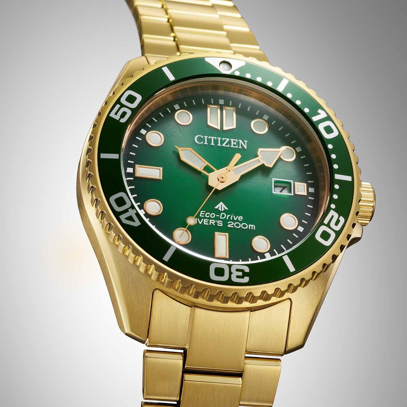 Citizen Bn0262-59W Promaster Eco-Drive Dalgıç Saati