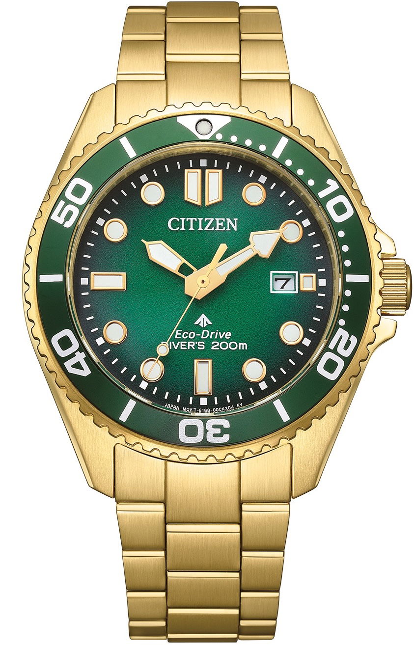 Citizen Bn0262-59W Promaster Eco-Drive Dalgıç Saati