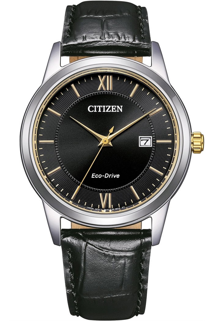 Citizen Aw1784-16E Erkek Kol Saati
