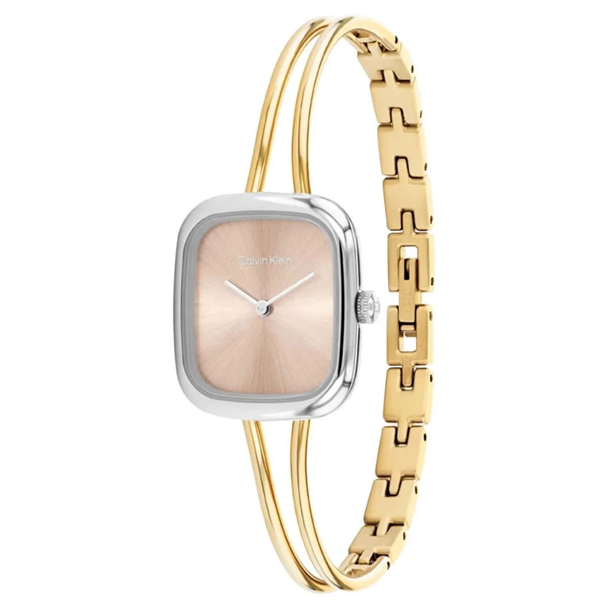 Calvin Klein Ck25100134 Kadın Kol Saati