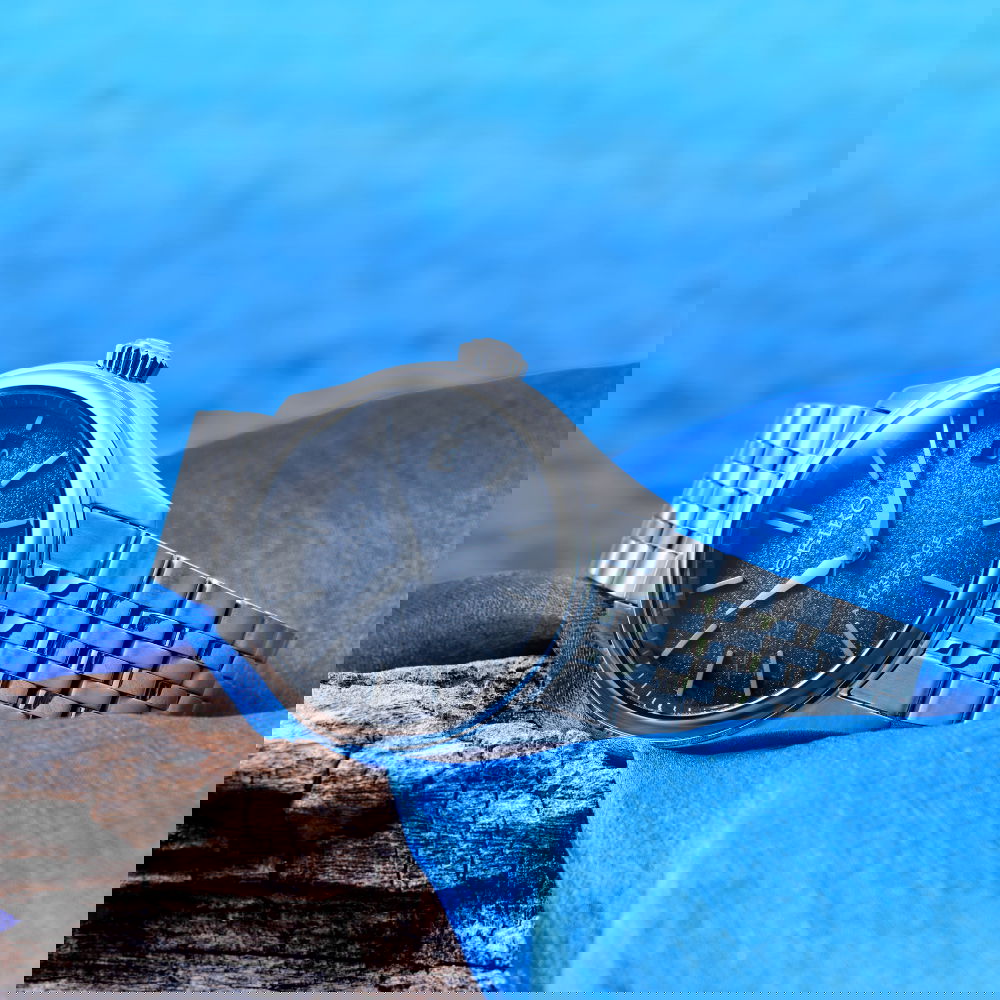 Seiko Presage Spb525j1 (Spb525j) Ai-Iro Japan Blue Otomatik Erkek Kol Saati