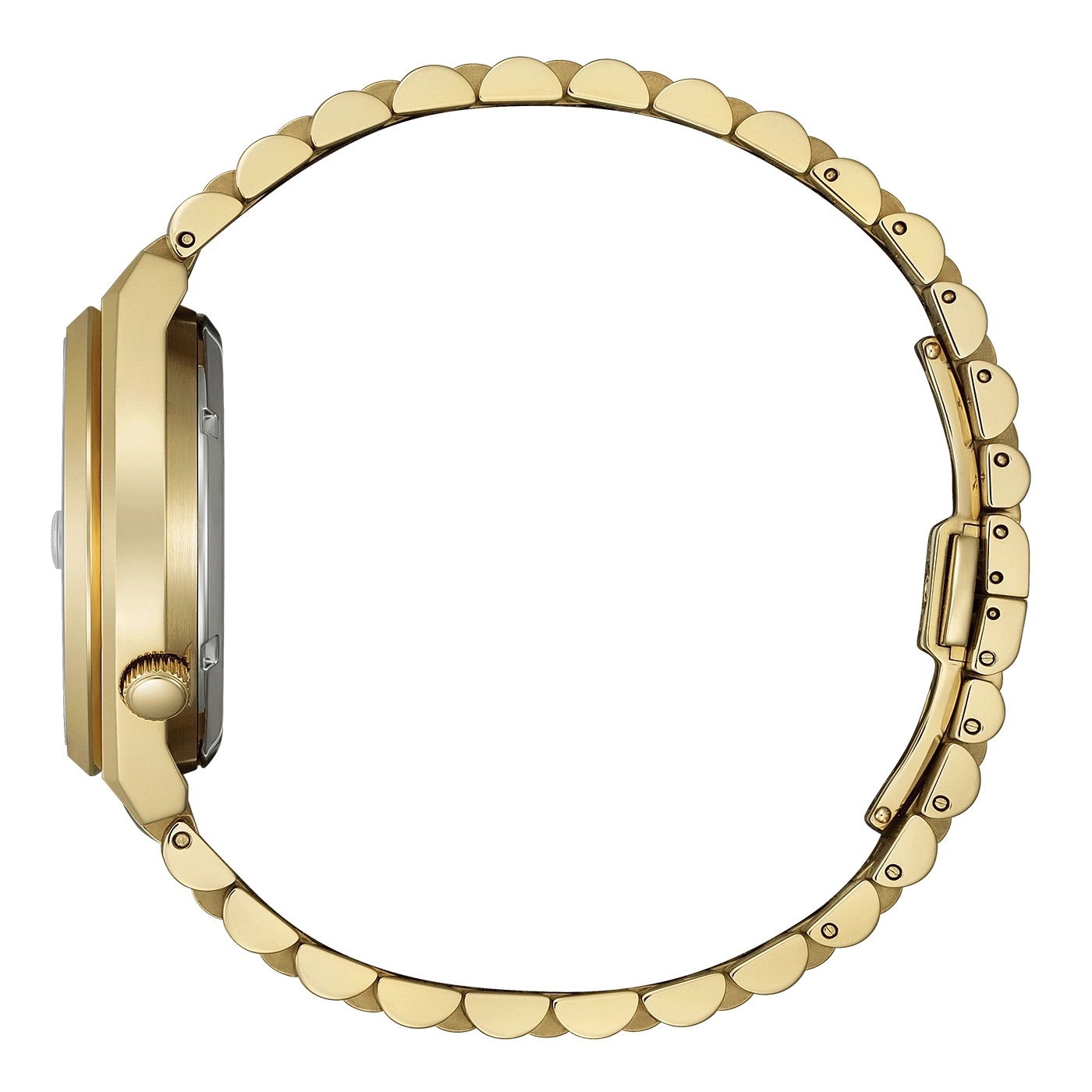 Citizen Tsuyosa 60 Nk0023-57L Otomatik Erkek Kol Saati