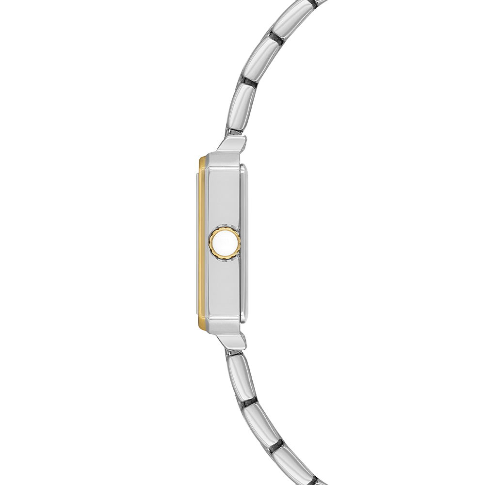 U.S. Polo Assn. Uspa2128-02 Kadın Kol Saati