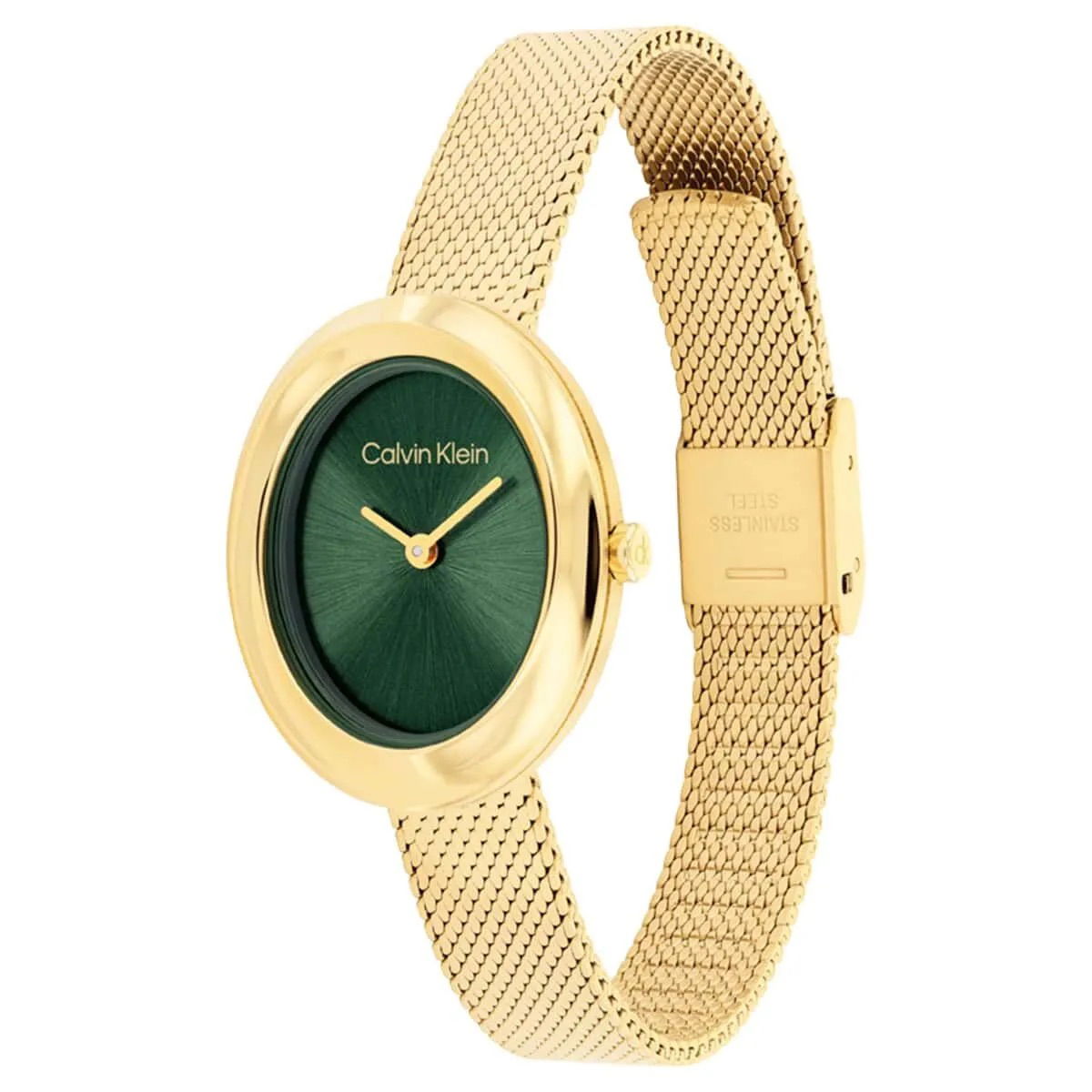 Calvin Klein Ck25100152 Kadın Kol Saati