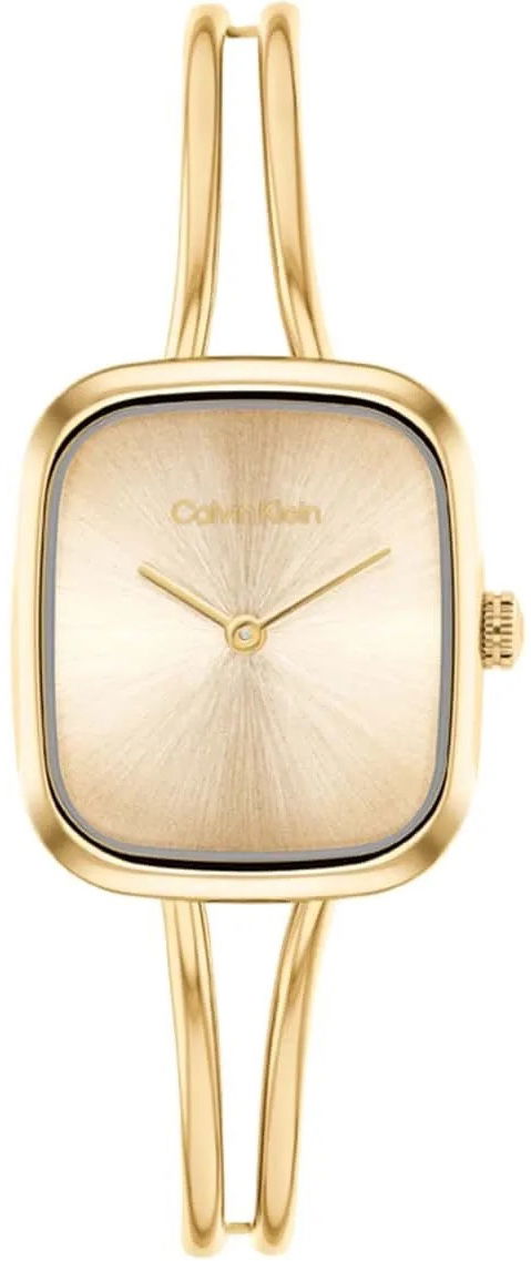 Calvin Klein Ck25100132 Kadın Kol Saati