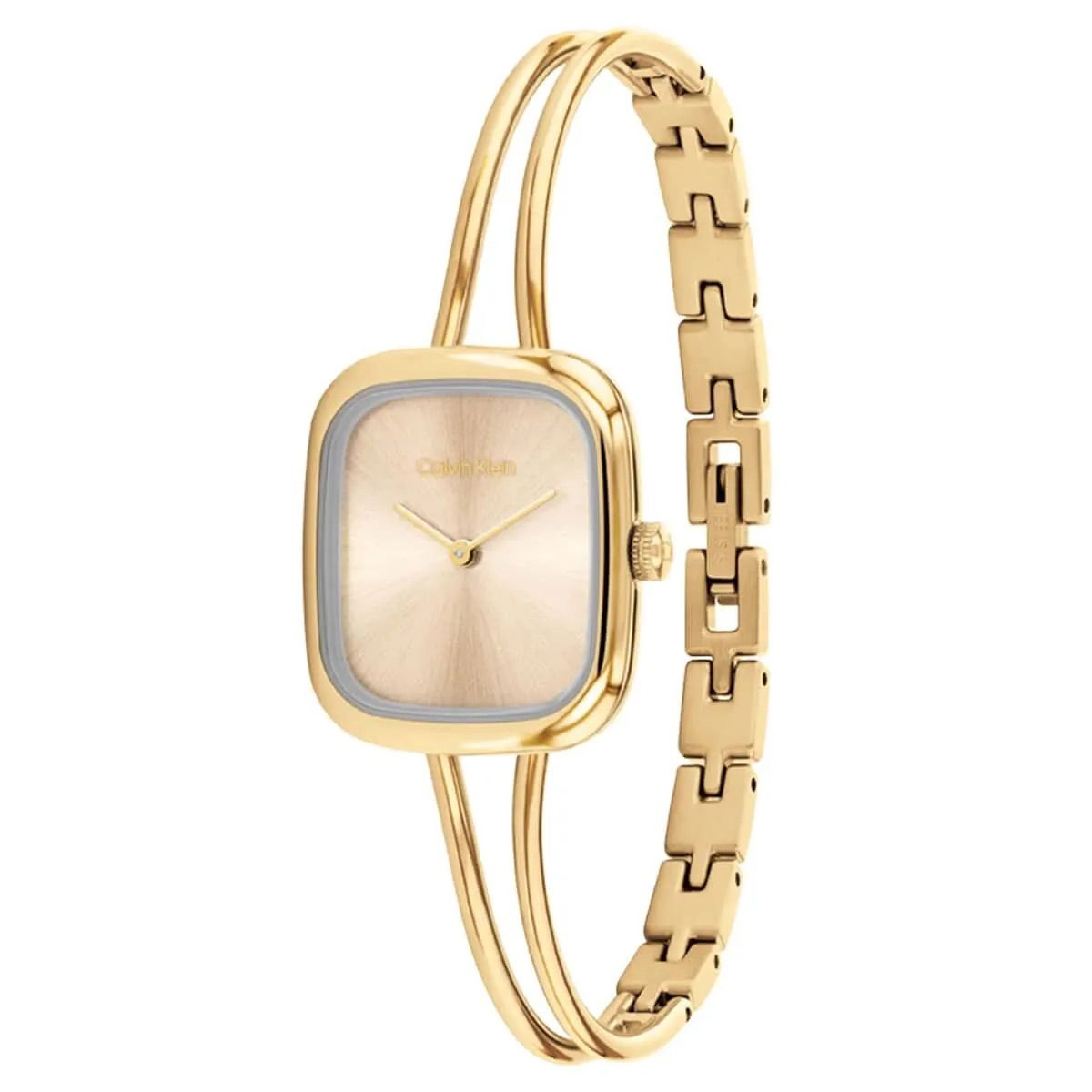 Calvin Klein Ck25100132 Kadın Kol Saati