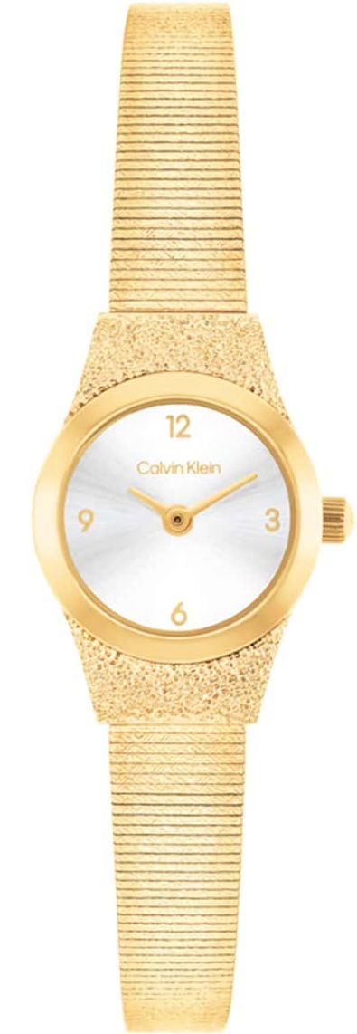 Calvin Klein Ck25100193 Kadın Kol Saati