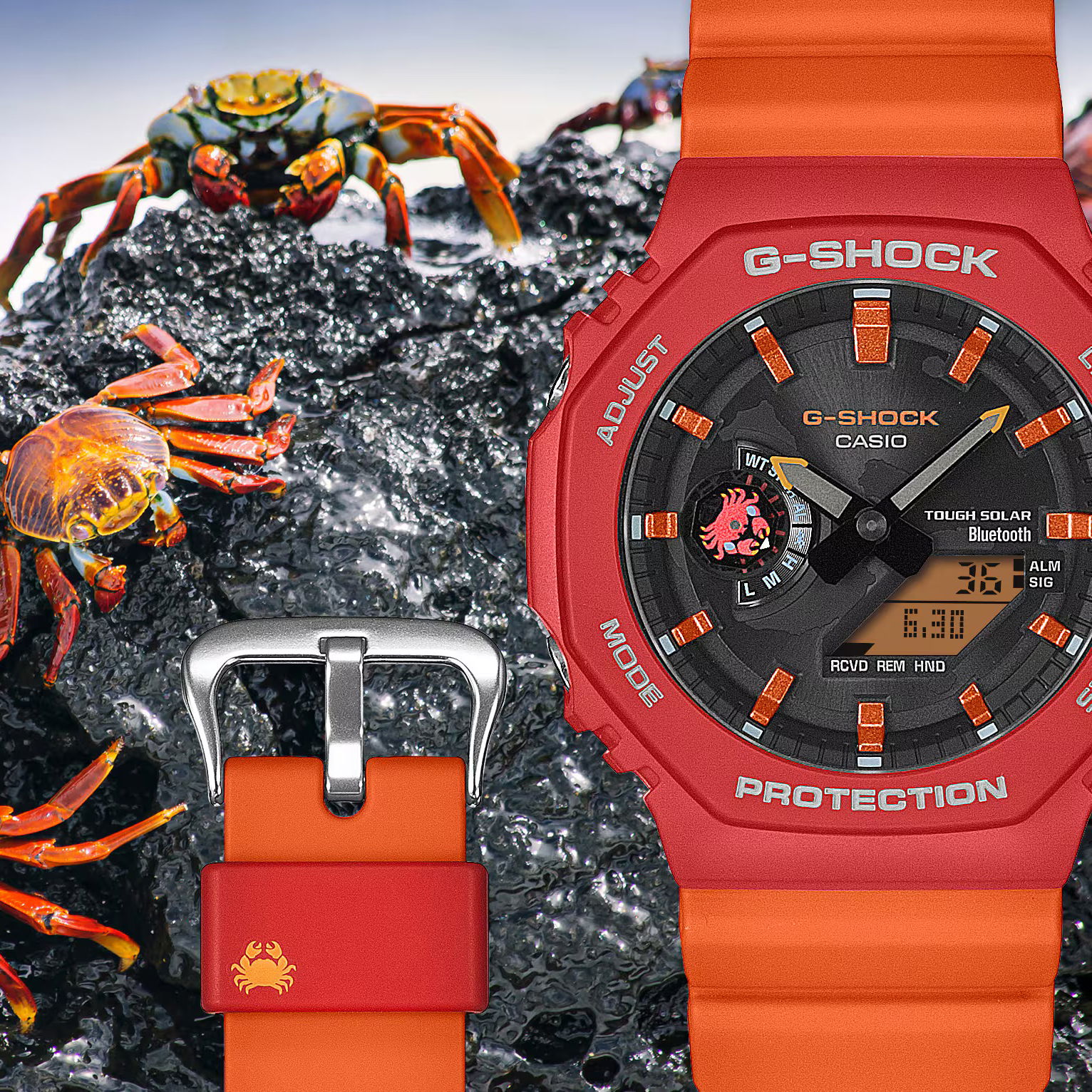 Casio G-Shock Ga-B2100df-4Adr Charles Darwin Foundation Erkek Kol Saati