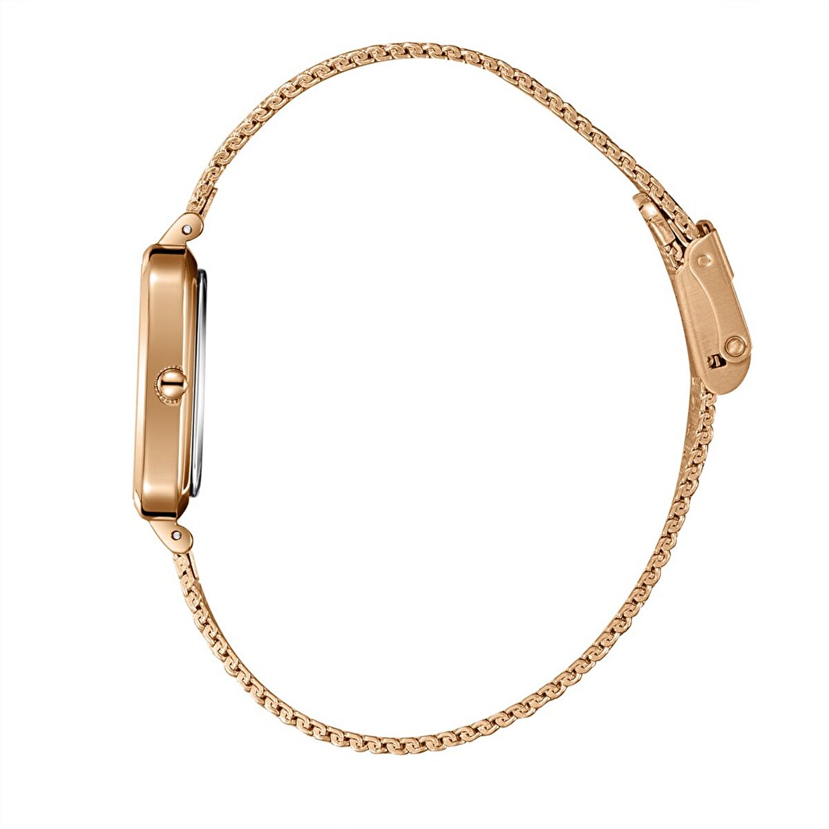 Slazenger Sl.09.2550.3.05 Kadın Kol Saati